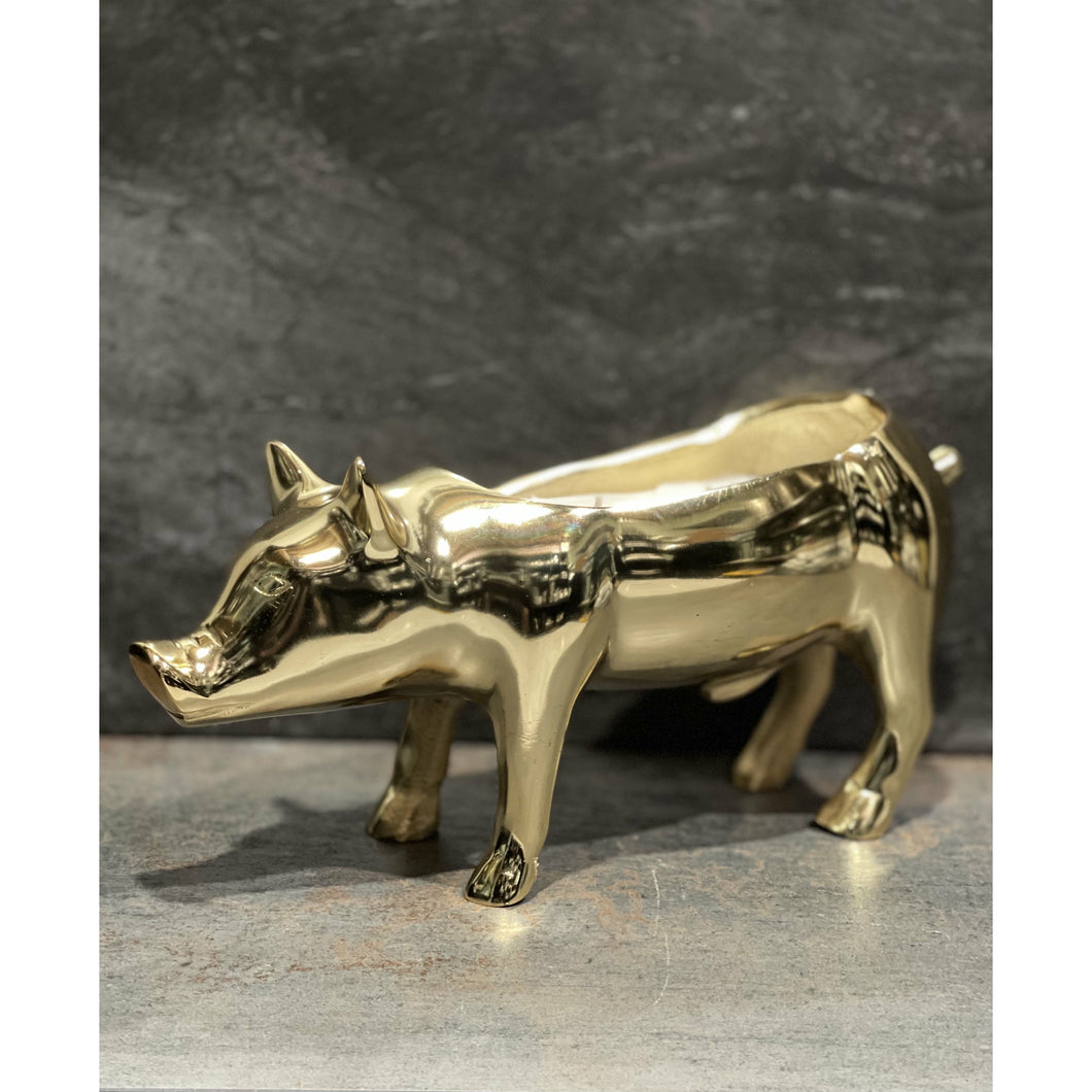 Golden Pig